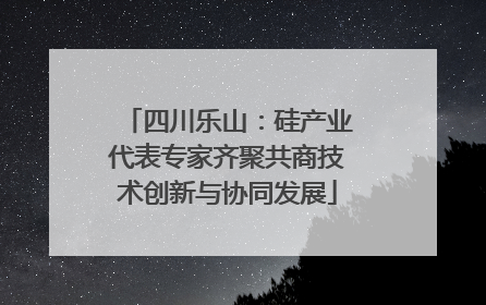 四川乐山：硅产业代表专家齐聚共商技术创新与协同发展