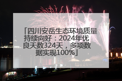 四川安岳生态环境质量持续向好：2024年优良天数324天，多项数据实现100%