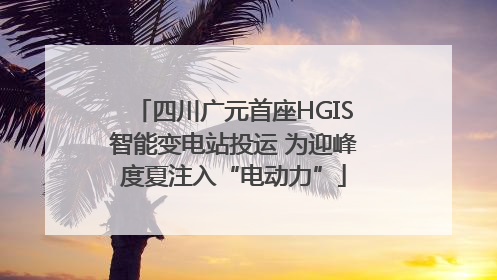四川广元首座HGIS智能变电站投运 为迎峰度夏注入“电动力”