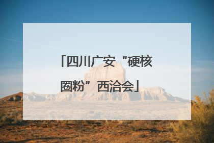 四川广安“硬核圈粉”西洽会