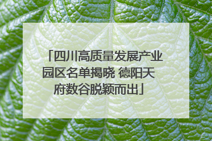四川高质量发展产业园区名单揭晓 德阳天府数谷脱颖而出