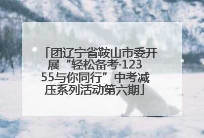 团辽宁省鞍山市委开展“轻松备考·12355与你同行”中考减压系列活动第六期