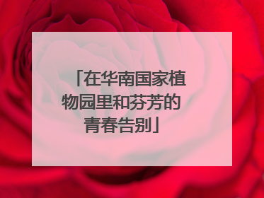 在华南国家植物园里和芬芳的青春告别
