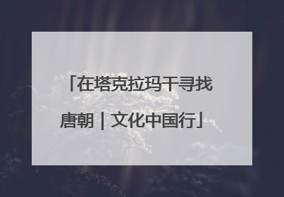 在塔克拉玛干寻找唐朝｜文化中国行