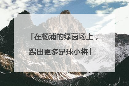 在杨浦的绿茵场上，踢出更多足球小将