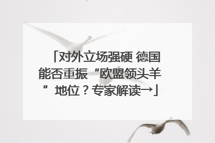 对外立场强硬 德国能否重振“欧盟领头羊”地位？专家解读→