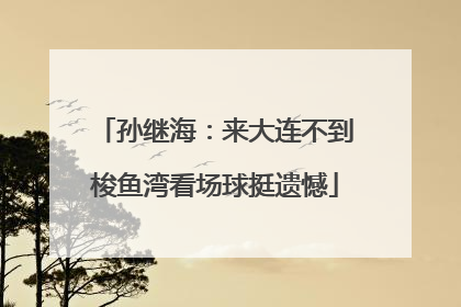 孙继海：来大连不到梭鱼湾看场球挺遗憾