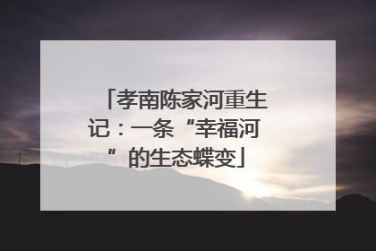孝南陈家河重生记：一条“幸福河”的生态蝶变
