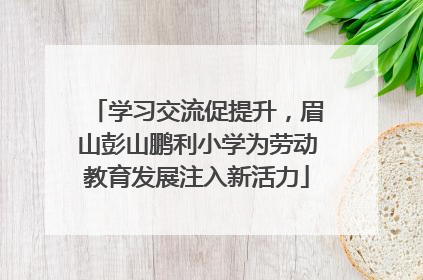 学习交流促提升，眉山彭山鹏利小学为劳动教育发展注入新活力