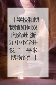 学校和博物馆如何双向奔赴 浙江中小学开设“一平米博物馆”