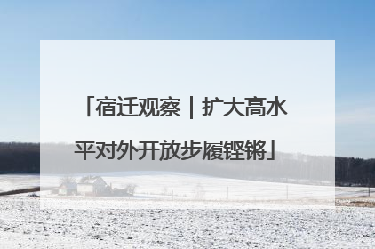 宿迁观察｜扩大高水平对外开放步履铿锵