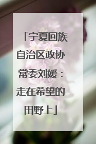 宁夏回族自治区政协常委刘媛：走在希望的田野上