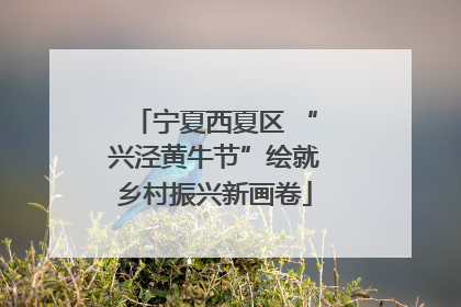 宁夏西夏区 “兴泾黄牛节”绘就乡村振兴新画卷