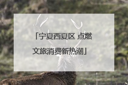 宁夏西夏区 点燃文旅消费新热潮
