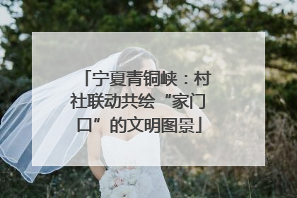 宁夏青铜峡：村社联动共绘“家门口”的文明图景