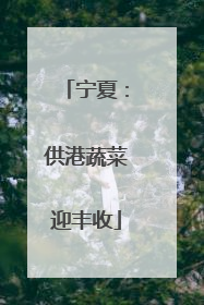 宁夏：供港蔬菜迎丰收