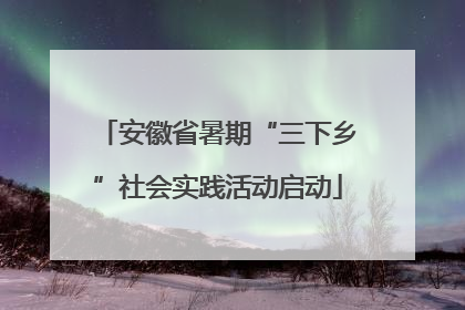 安徽省暑期“三下乡”社会实践活动启动