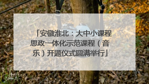 安徽淮北：大中小课程思政一体化示范课程（音乐）开题仪式圆满举行