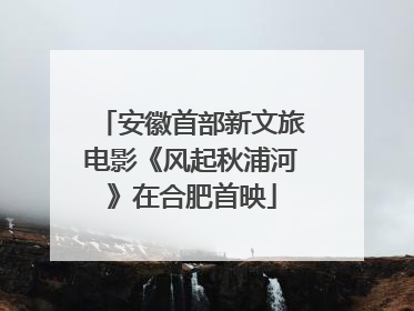 安徽首部新文旅电影《风起秋浦河》在合肥首映