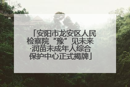 安阳市龙安区人民检察院“豫”见未来·润苗未成年人综合保护中心正式揭牌
