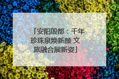 安阳殷都：千年珍珠泉焕新颜 文旅融合展新姿