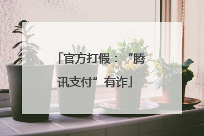官方打假：“腾讯支付”有诈