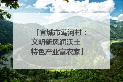 宜城市莺河村：文明新风润沃土 特色产业富农家