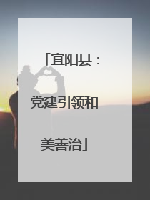 宜阳县：党建引领和美善治