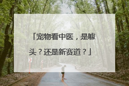 宠物看中医，是噱头？还是新赛道？