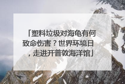 塑料垃圾对海龟有何致命伤害？世界环境日，走进开普敦海洋馆