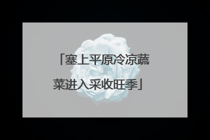 塞上平原冷凉蔬菜进入采收旺季