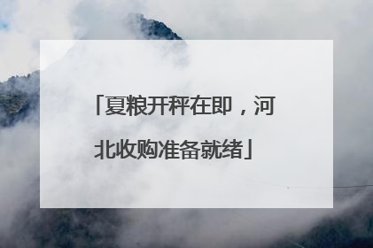 夏粮开秤在即，河北收购准备就绪