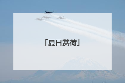 夏日赏荷