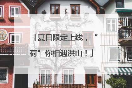 夏日限定上线，“荷”你相遇洪山！