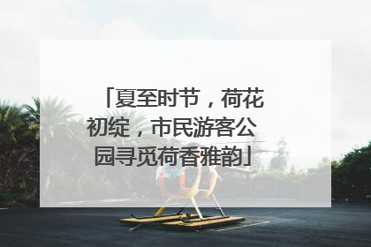 夏至时节，荷花初绽，市民游客公园寻觅荷香雅韵