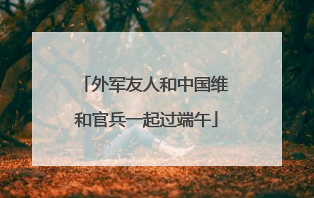 外军友人和中国维和官兵一起过端午