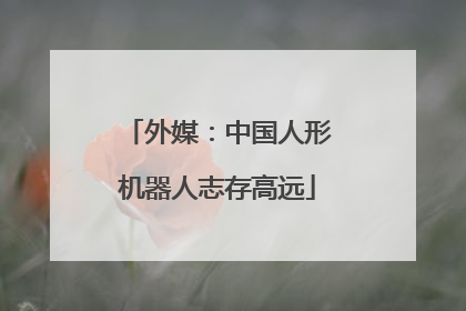 外媒：中国人形机器人志存高远