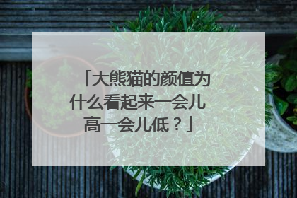 大熊猫的颜值为什么看起来一会儿高一会儿低？