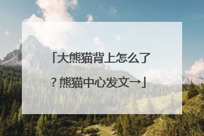 大熊猫背上怎么了？熊猫中心发文→