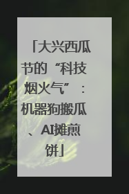 大兴西瓜节的“科技烟火气”：机器狗搬瓜、AI摊煎饼