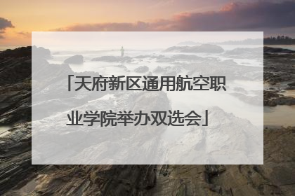 天府新区通用航空职业学院举办双选会