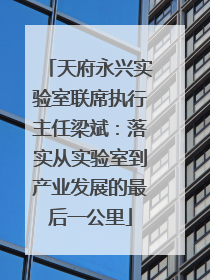 天府永兴实验室联席执行主任梁斌：落实从实验室到产业发展的最后一公里