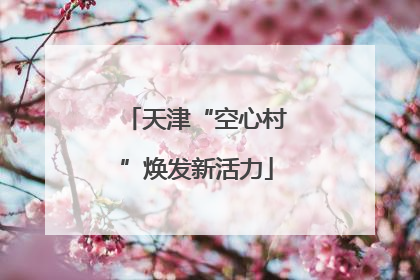 天津“空心村”焕发新活力