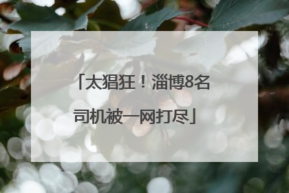 太猖狂！淄博8名司机被一网打尽
