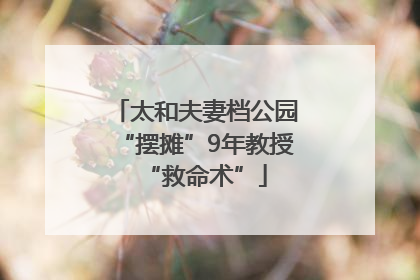 太和夫妻档公园“摆摊”9年教授“救命术”