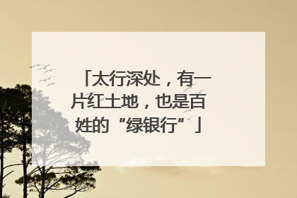 太行深处，有一片红土地，也是百姓的“绿银行”