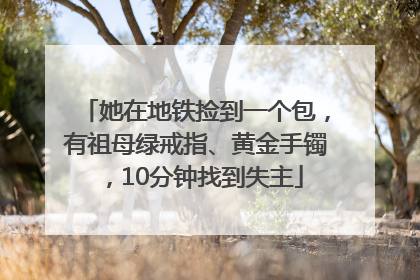 她在地铁捡到一个包，有祖母绿戒指、黄金手镯，10分钟找到失主