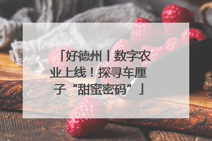 好德州丨数字农业上线！探寻车厘子“甜蜜密码”