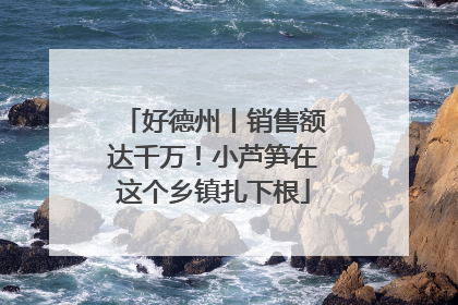 好德州丨销售额达千万！小芦笋在这个乡镇扎下根