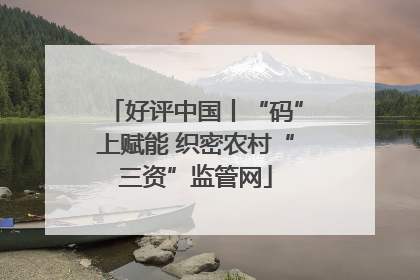 好评中国丨“码”上赋能 织密农村“三资”监管网
